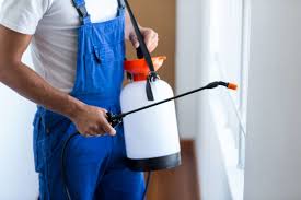 Best Fumigation Services  in Sam Rayburn, TX